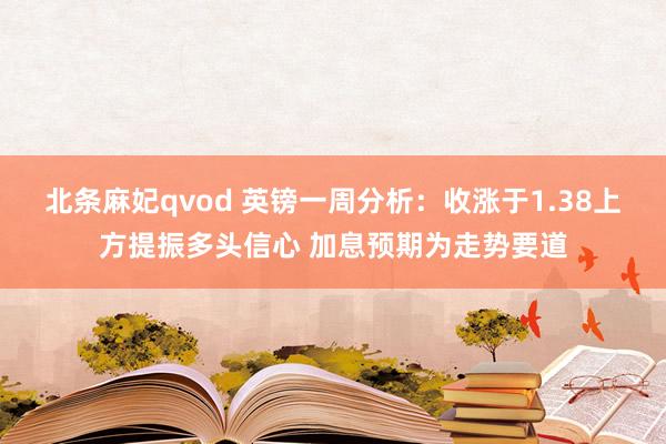 北条麻妃qvod 英镑一周分析:收涨于1.38上方提振多头信心 加息预期为走势要道