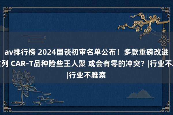 av排行榜 2024国谈初审名单公布!多款重磅改进药在列 CAR-T品种险些王人聚 或会有零的冲突?|行业不雅察