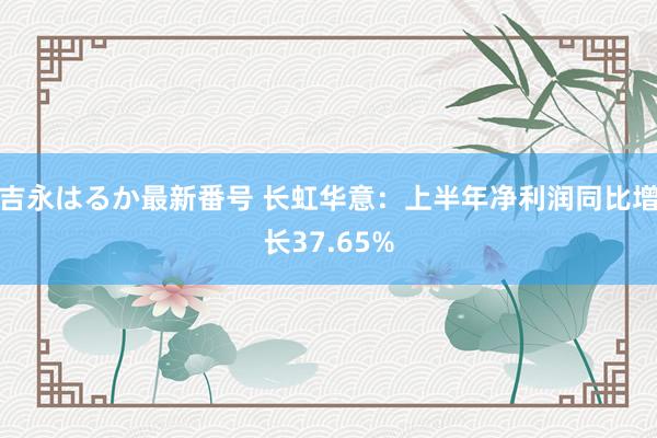 吉永はるか最新番号 长虹华意:上半年净利润同比增长37.65%