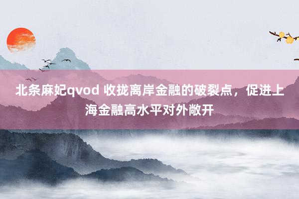北条麻妃qvod 收拢离岸金融的破裂点,促进上海金融高水平对外敞开