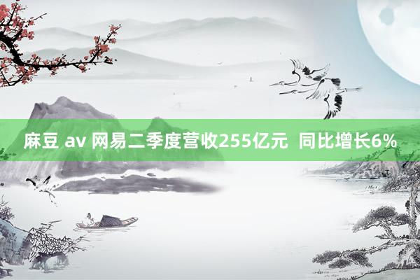 麻豆 av 网易二季度营收255亿元 同比增长6%
