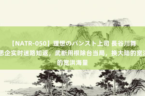 【NATR-050】理想のパンスト上司 長谷川舞 好意思企实时迷路知返,武断用根除台当局,换大陆的宽洪海量