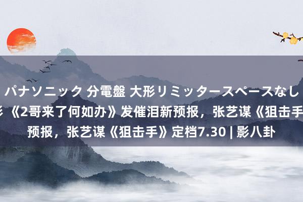 パナソニック 分電盤 大形リミッタースペースなし 露出・半埋込両用形 《2哥来了何如办》发催泪新预报,张艺谋《狙击手》定档7.30 | 影八卦