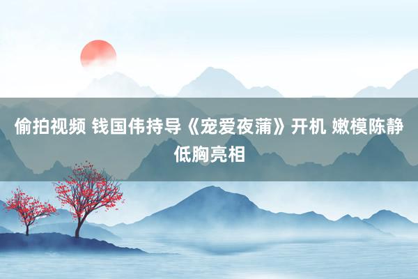 偷拍视频 钱国伟持导《宠爱夜蒲》开机 嫩模陈静低胸亮相