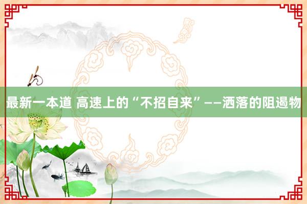 最新一本道 高速上的“不招自来”——洒落的阻遏物