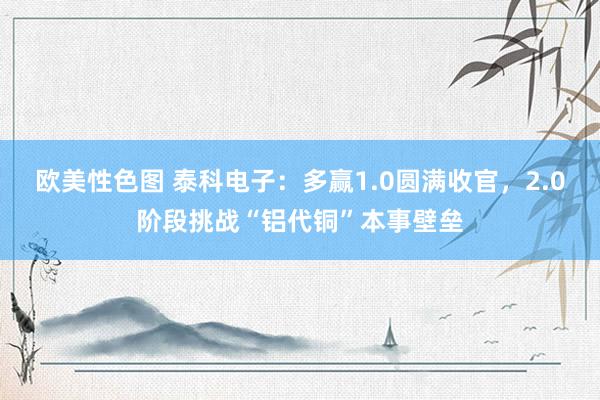 欧美性色图 泰科电子：多赢1.0圆满收官，2.0阶段挑战“铝代铜”本事壁垒
