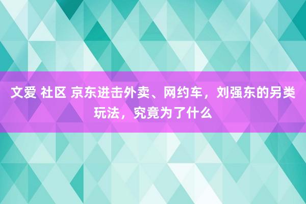 文爱 社区 京东进击外卖、网约车，刘强东的另类玩法，究竟为了什么