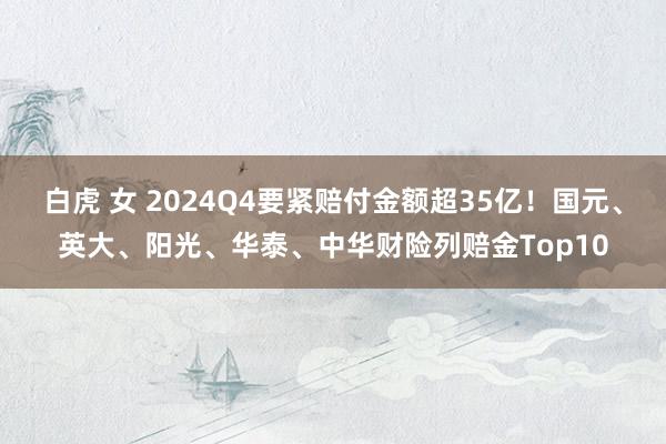 白虎 女 2024Q4要紧赔付金额超35亿！国元、英大、阳光、华泰、中华财险列赔金Top10