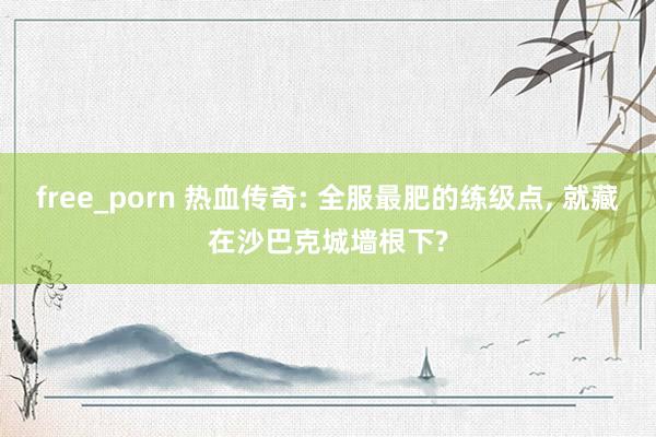 free_porn 热血传奇: 全服最肥的练级点, 就藏在沙巴克城墙根下?