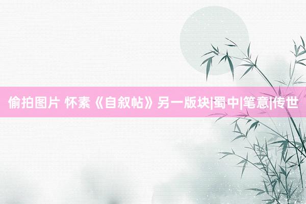 偷拍图片 怀素《自叙帖》另一版块|蜀中|笔意|传世